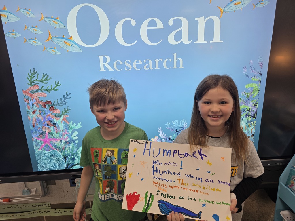 ocean animal research poster