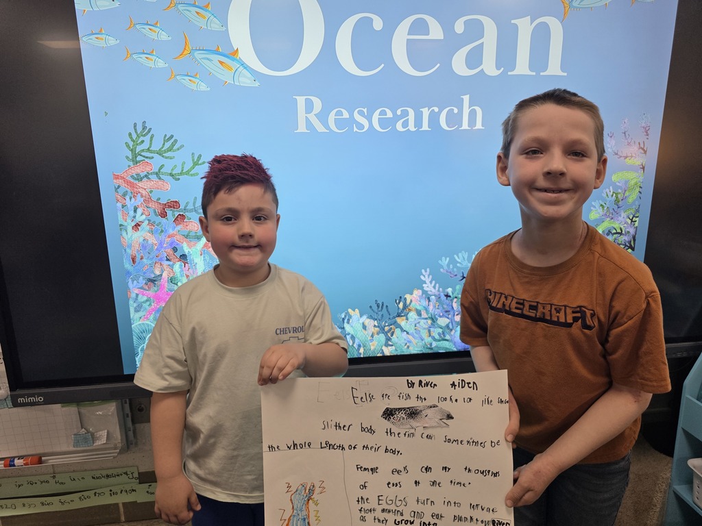 ocean animal research poster