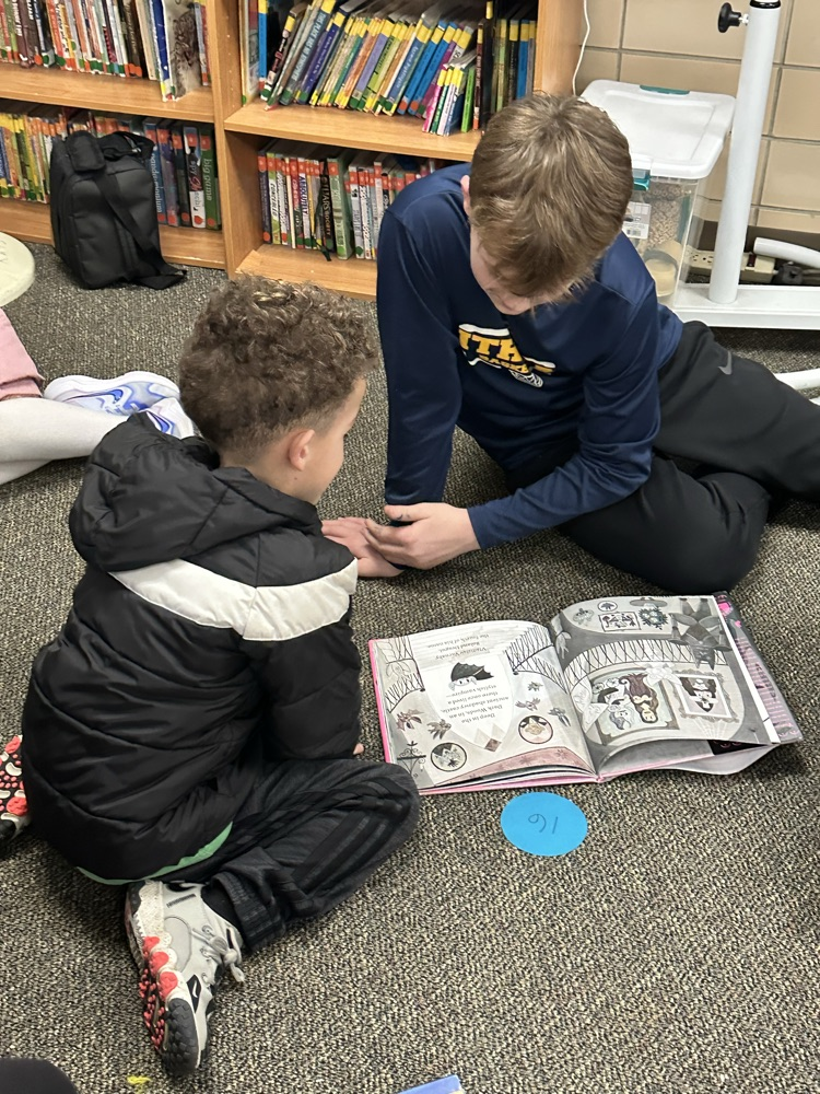 buddy reading