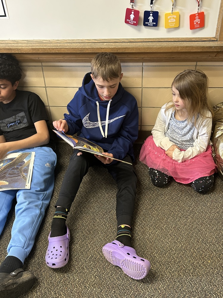 buddy reading