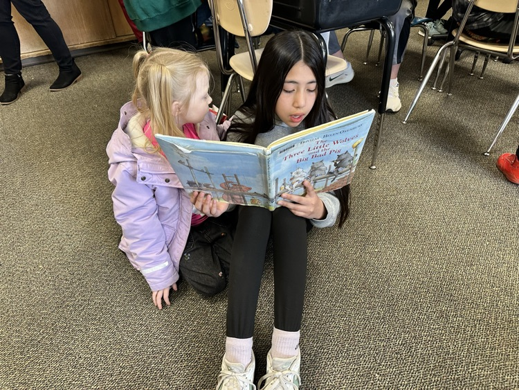 buddy reading