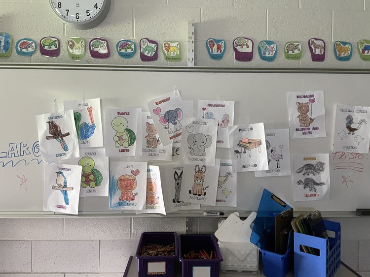pictures of animals on a whiteboard 