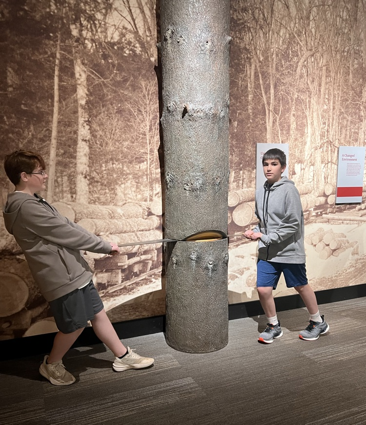 museum 