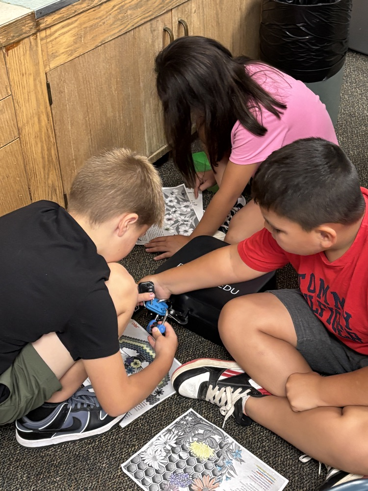 students with lock box 