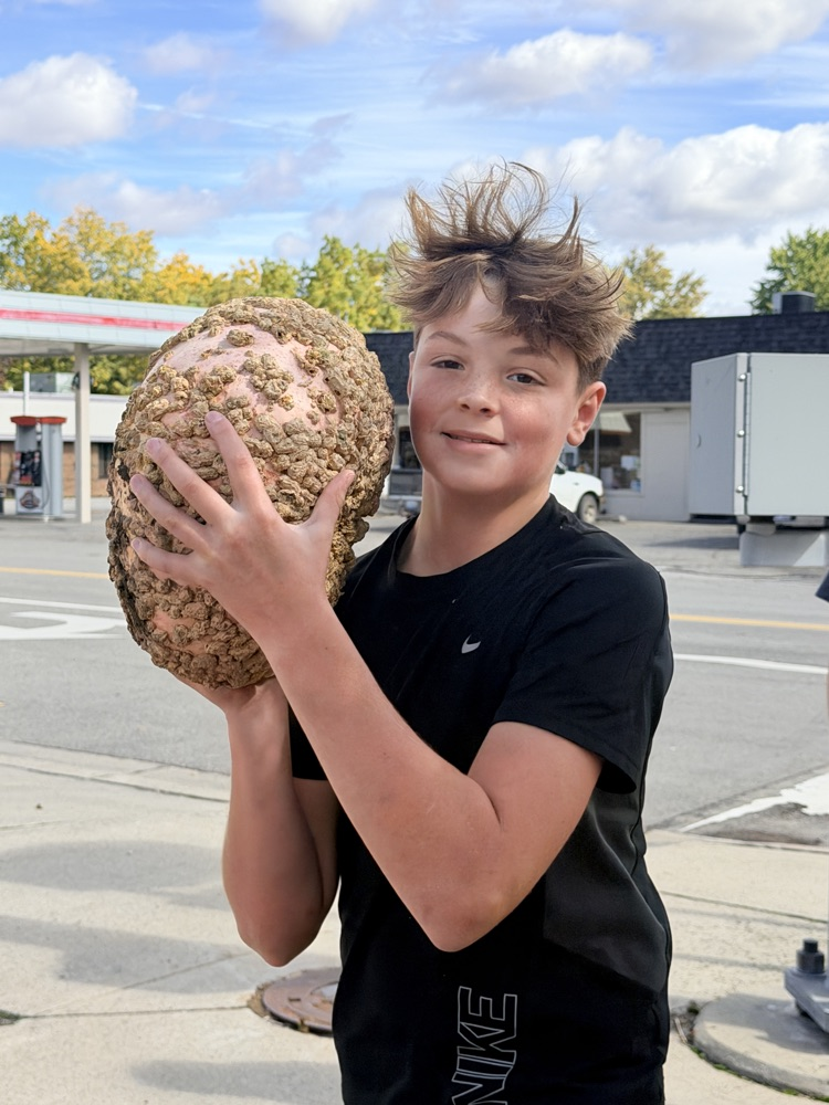 holding a pumpkin