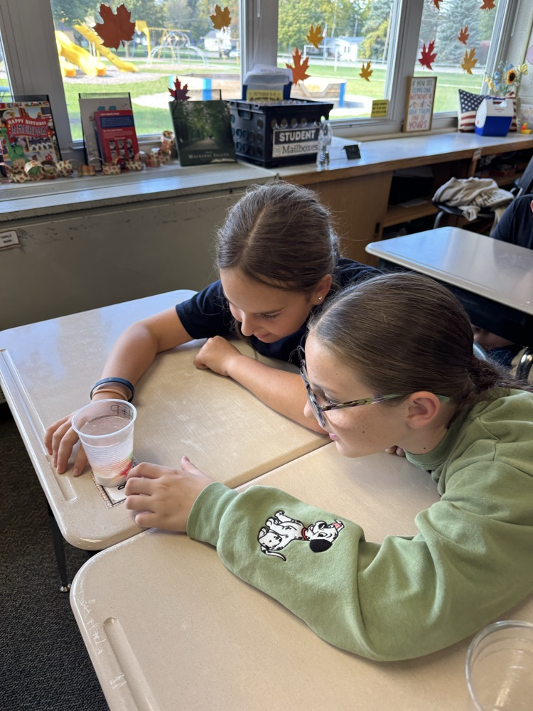 students looking at science experiment