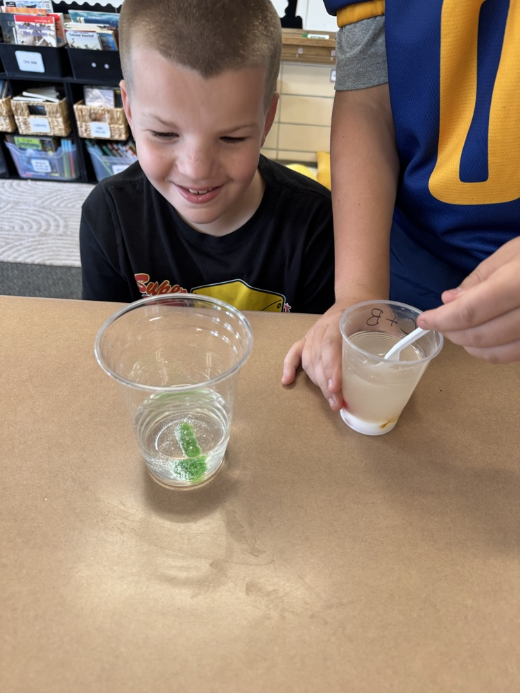 student with science experiment 