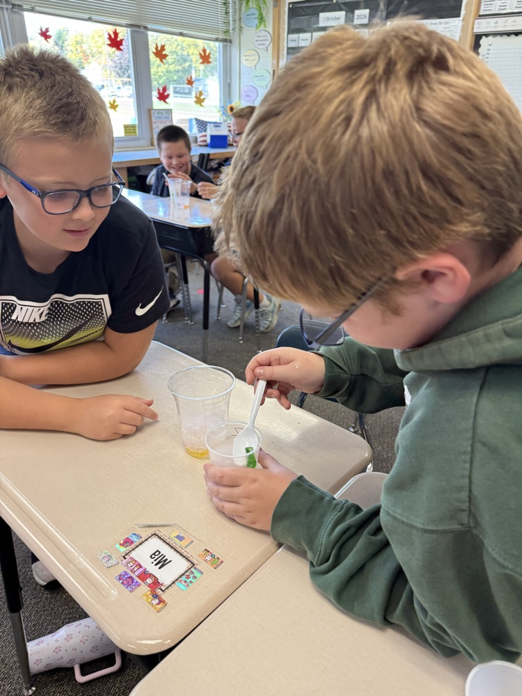 students looking at science experiment