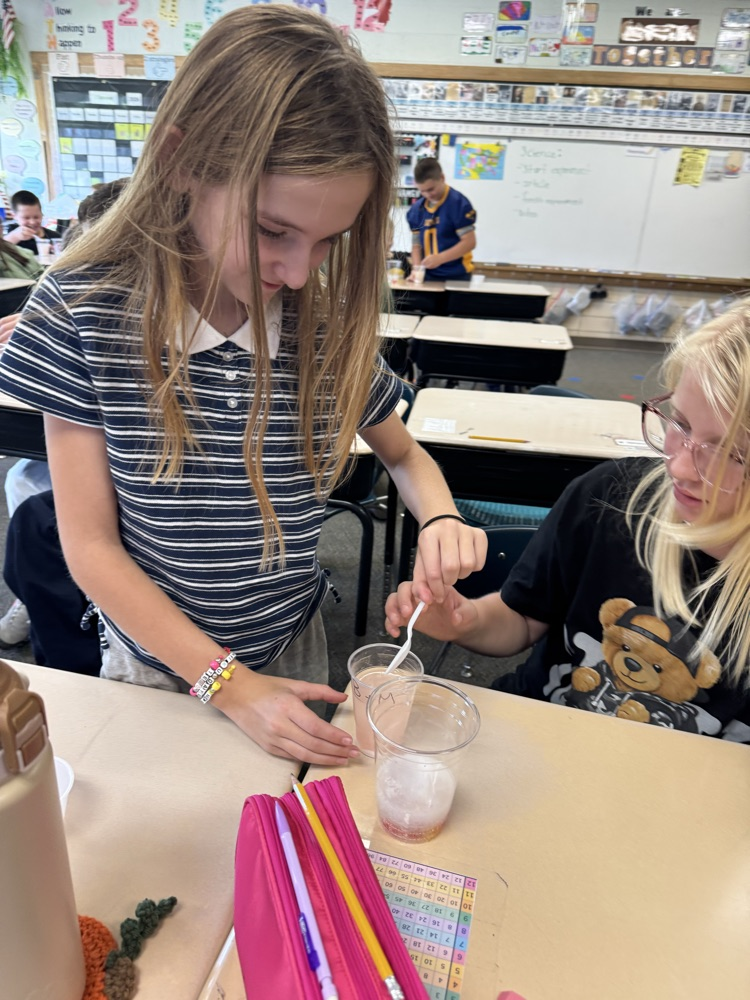 students working on science experiment 