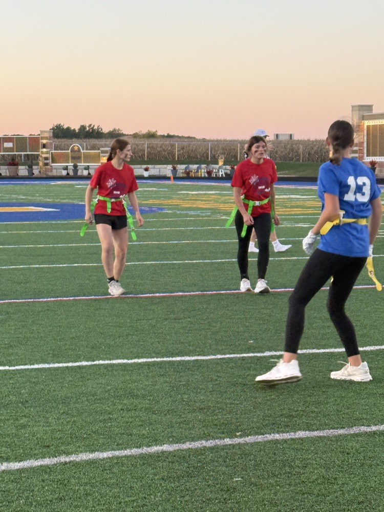 powderpuff