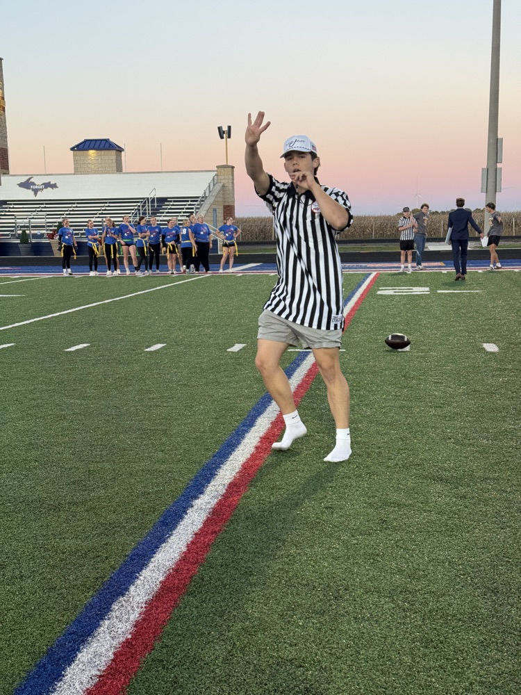 referee