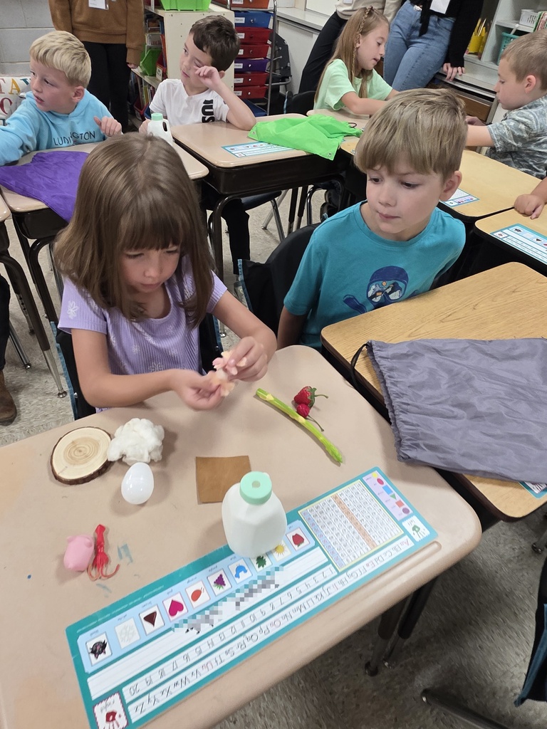 Students working at their desks.