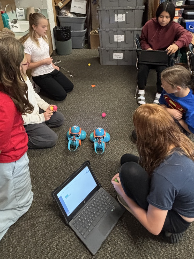 teams playing robot bocce ball