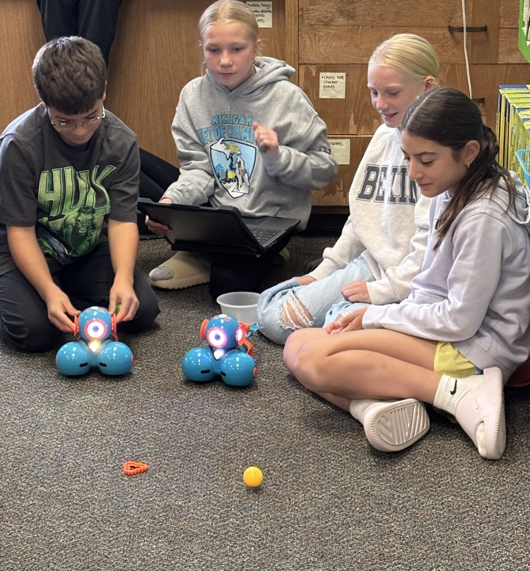 teams playing robot bocce ball