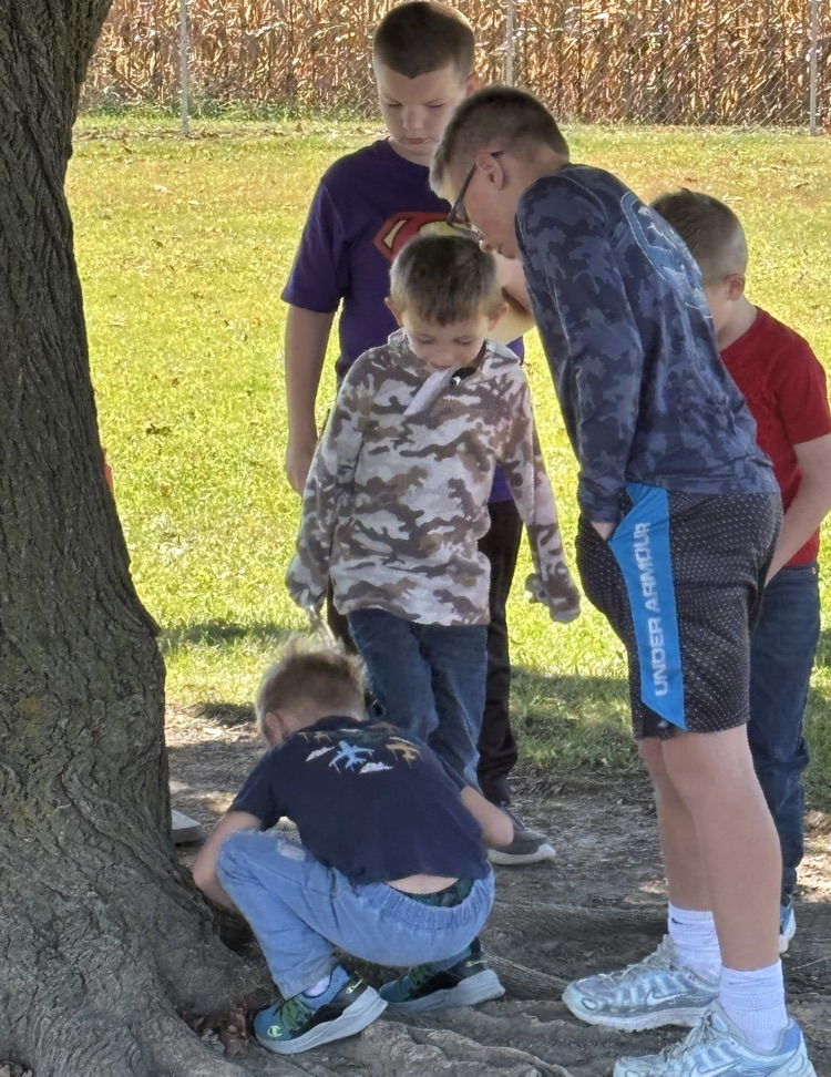 students looking for living things