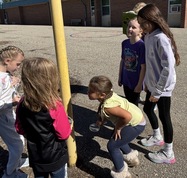 students looking for living things