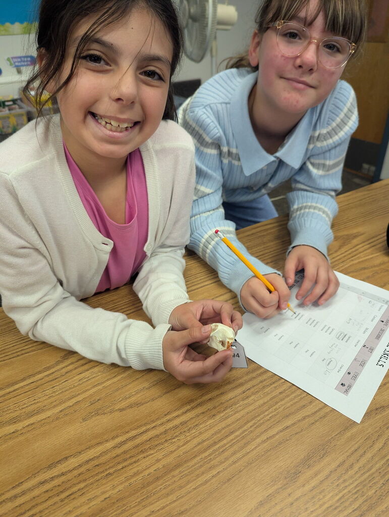 4th graders studying skulls of animals