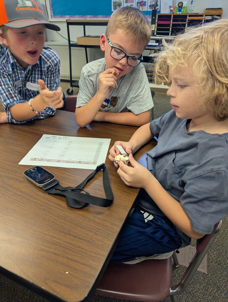4th graders studying skulls of animals....
