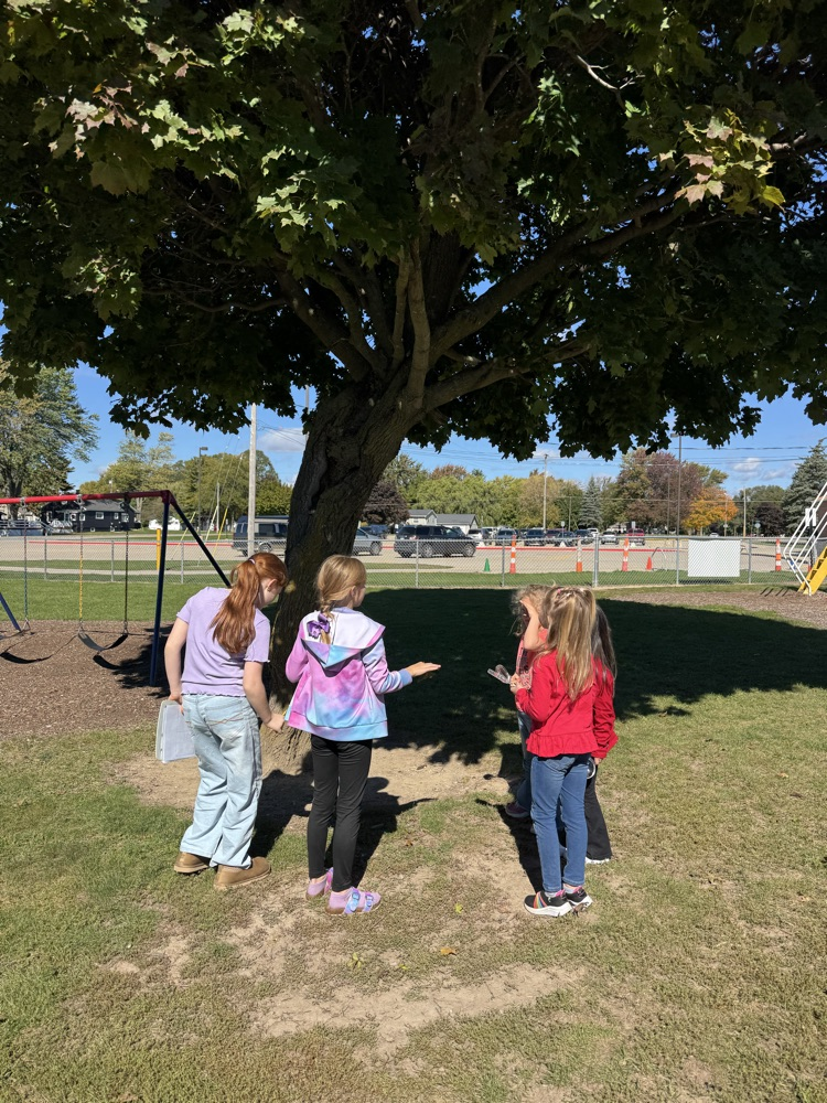 students outside exploring 