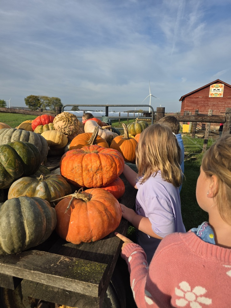 students looking at a wagon full of pumpkins.