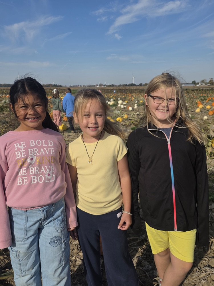 Students standing in a field of pumpkins.