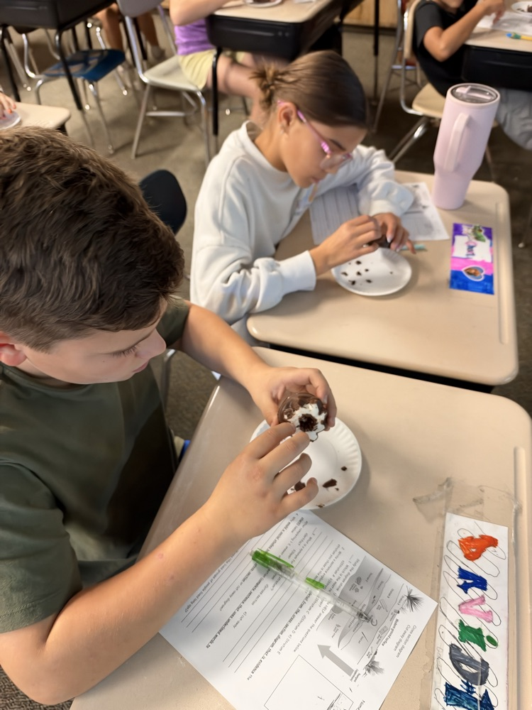 5th graders using a cookie to compare to the geosphere 