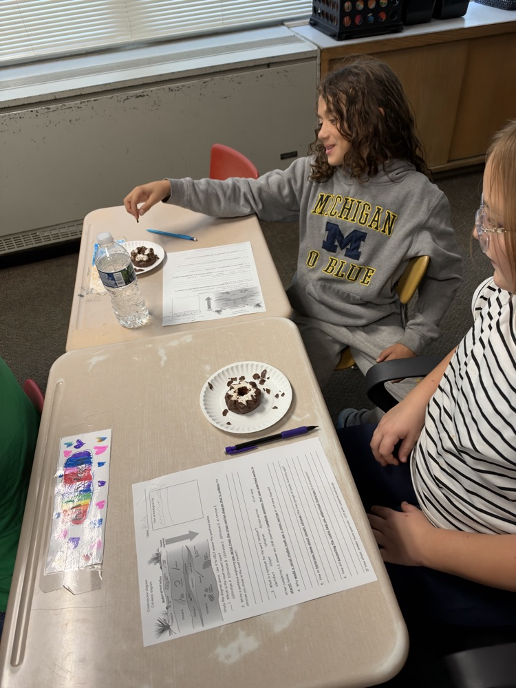5th graders using a cookie to compare to the geosphere 