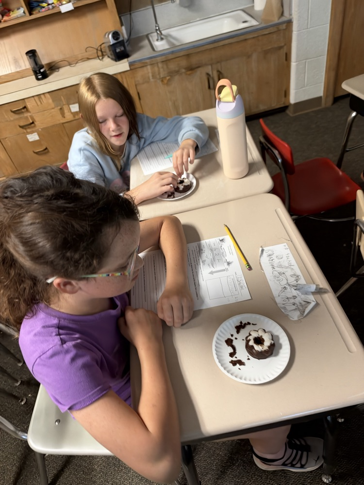 5th graders using a cookie to compare to the geosphere 