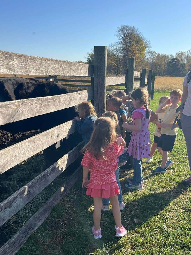 Students stand at a fence looking at cattle.