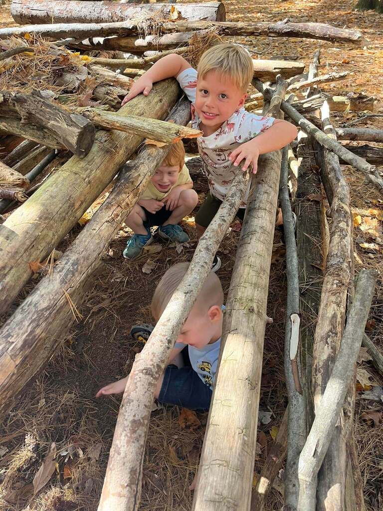 Students are playing in a fort made of large branches and sticks.