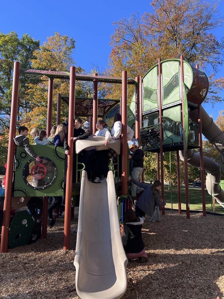 students playing on the new playscape at the park