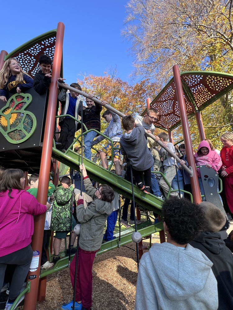 students playing on the new playscape
