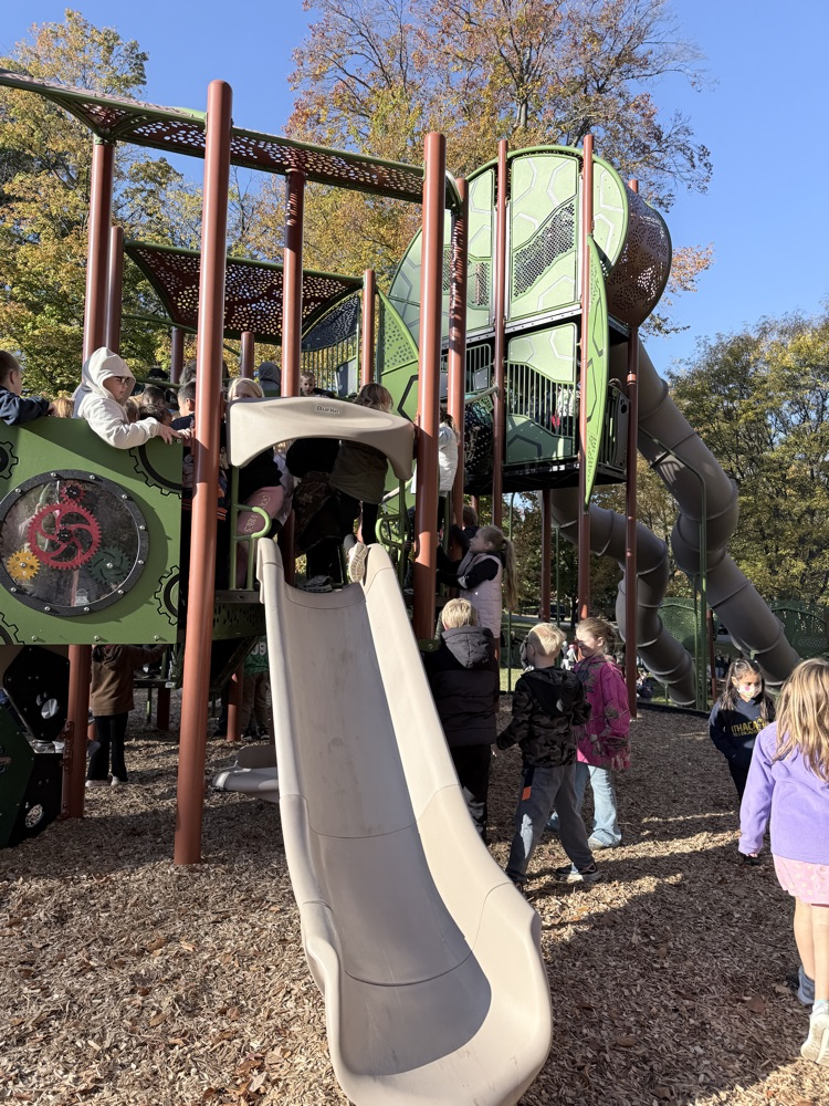 Students playing on the playground.