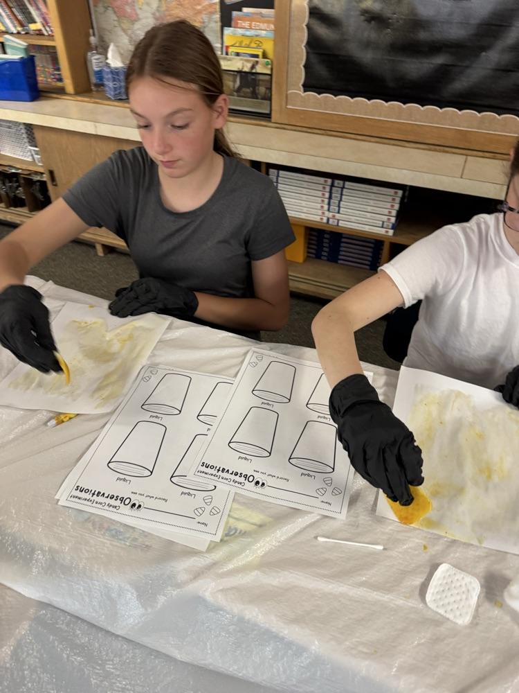 students working on project