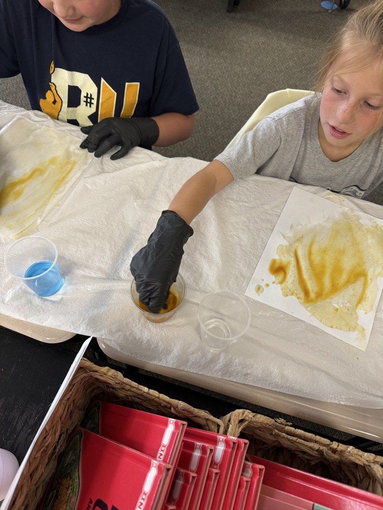 students working on project
