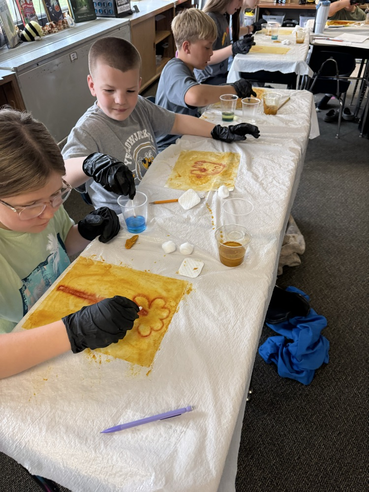 students working on project