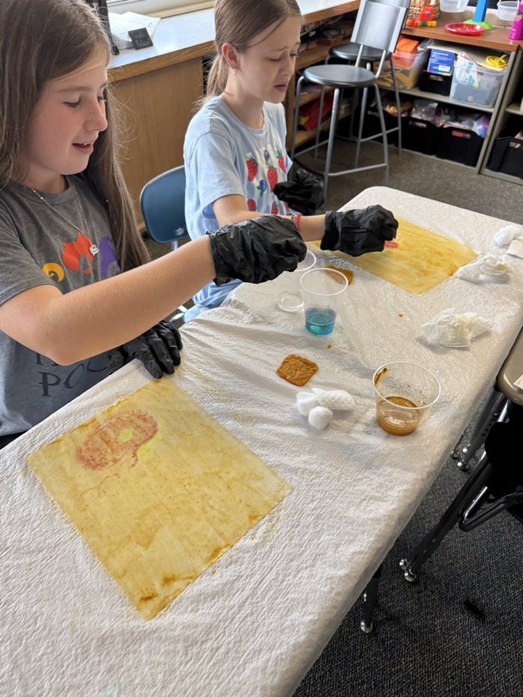 students working on project