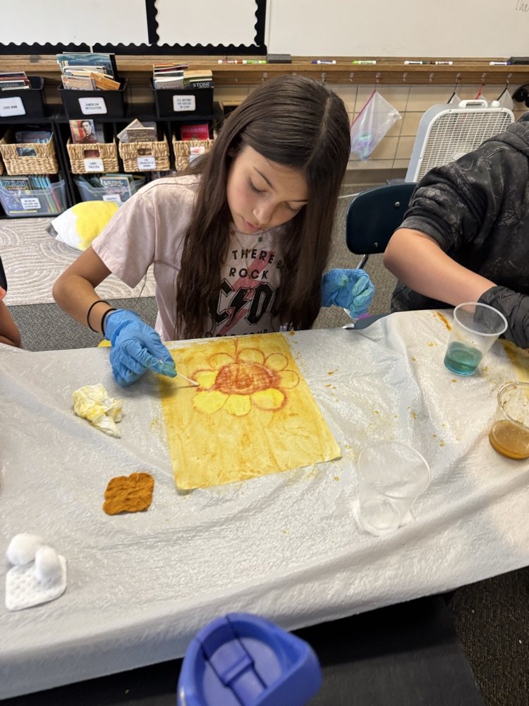 students working on project