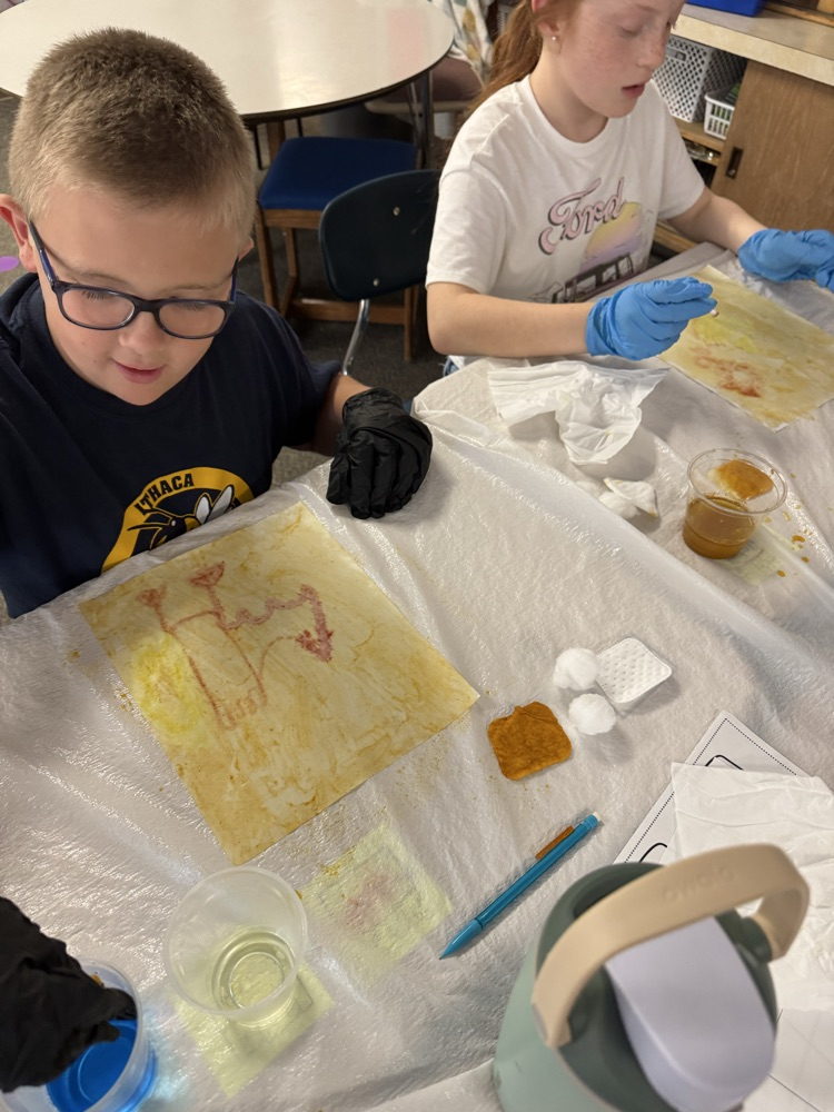 students working on project