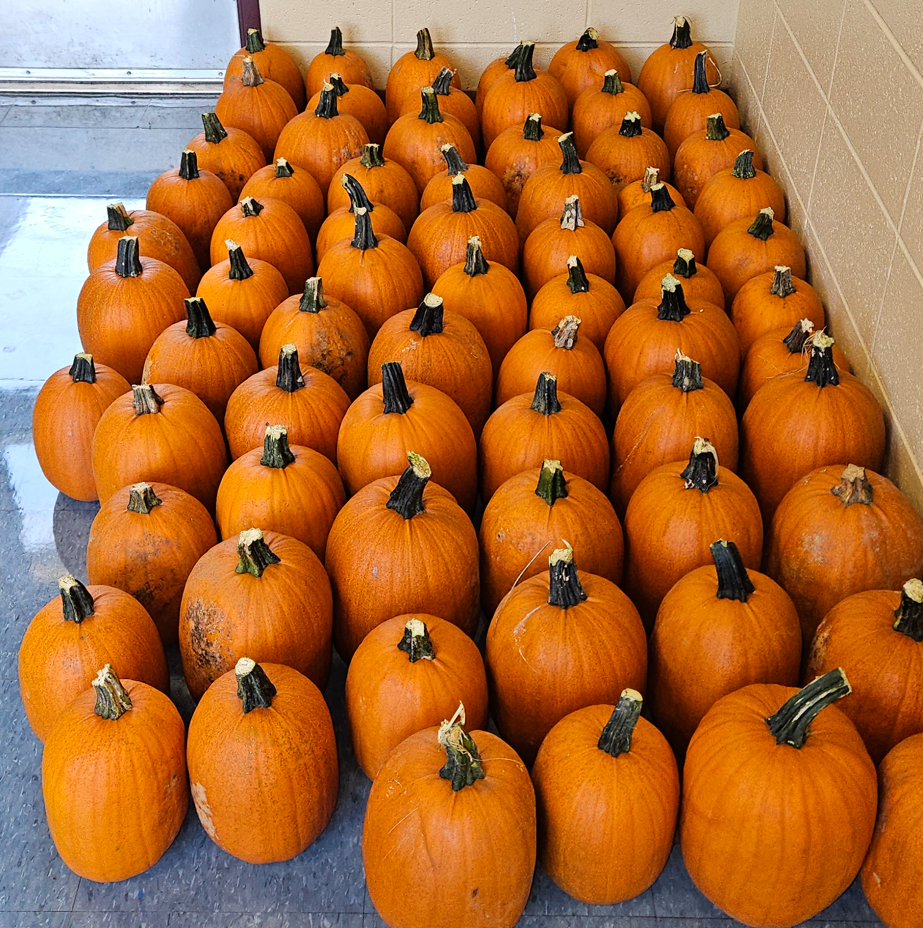 pumpkin