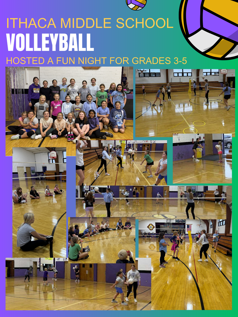 msvb camp