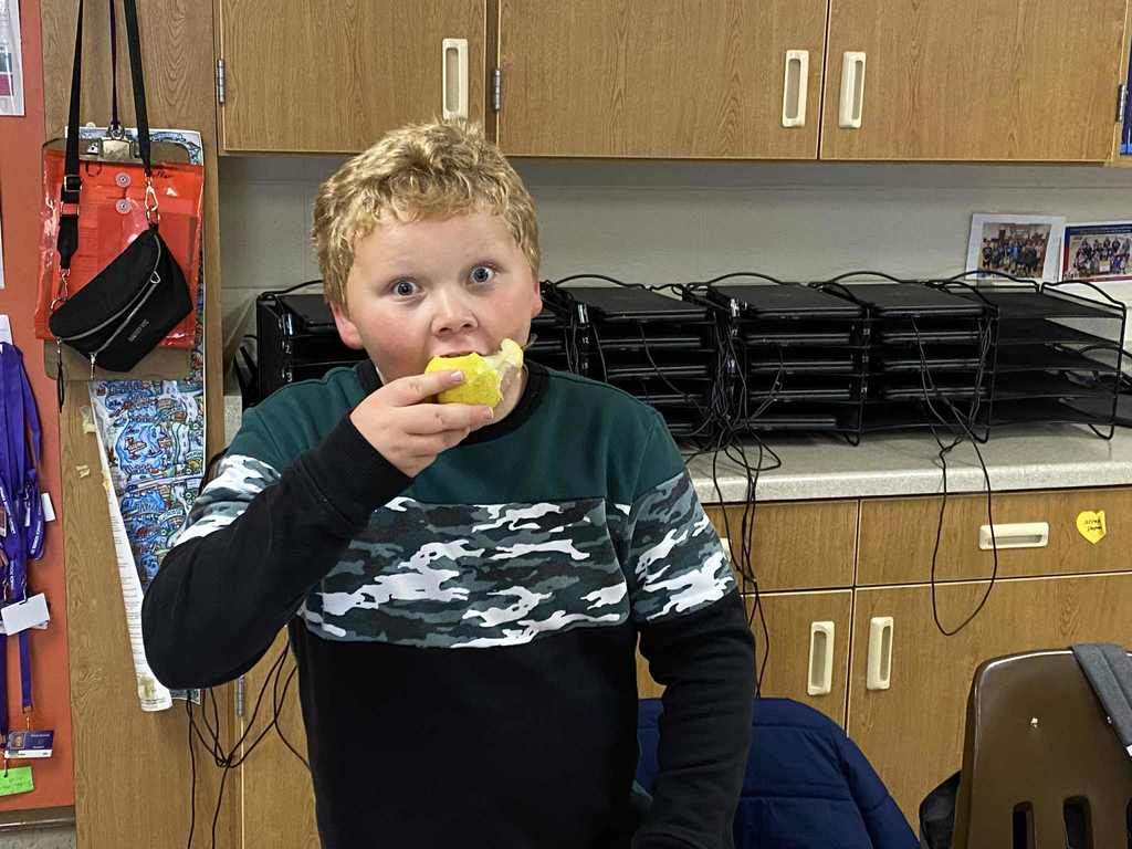 Smart Snack Ithaca 2025 HA