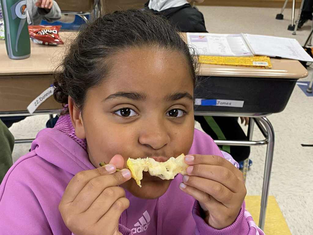 Smart Snack Ithaca 2025 OS