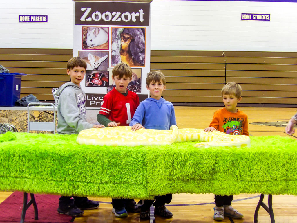 ZooZort Family Literacy Night 2025 Ithaca