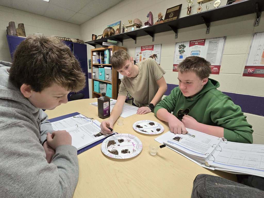 8th Grade Ag Class Ms Sprecher 2nd Semester 2026 plant media #8