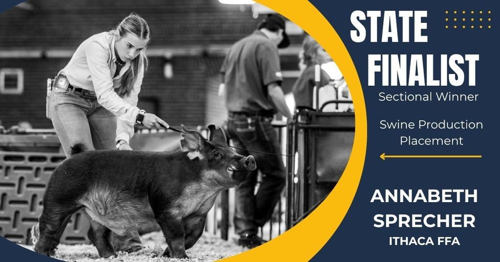 Annabeth Sprecher State Finalist Swine Production Placement 2026