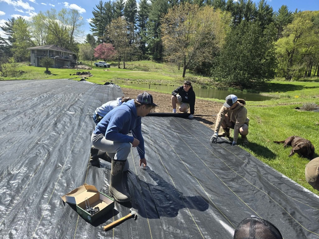 Lavender Farm work 2026 #6
