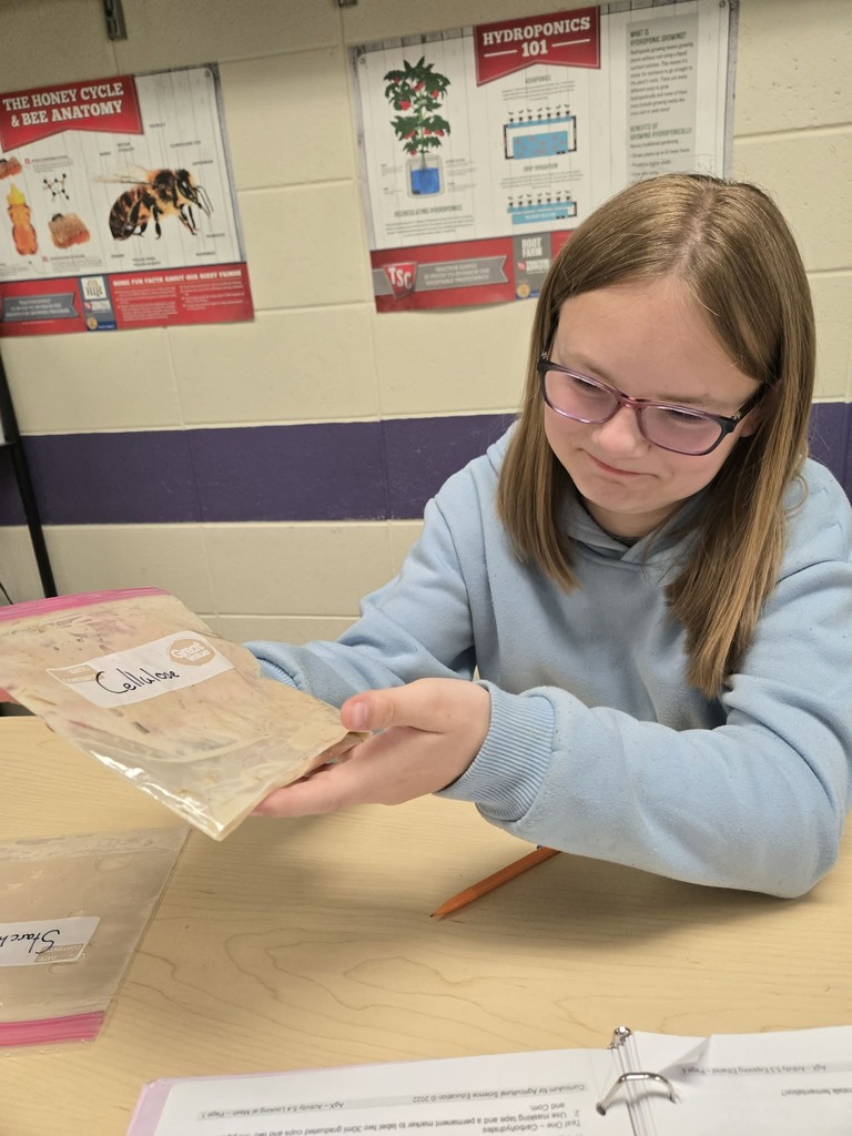 8th Grade ag ethanol lesson 2026 K.L.
