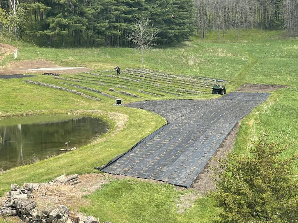 FFA Lavender Experiment work planting 2026 start