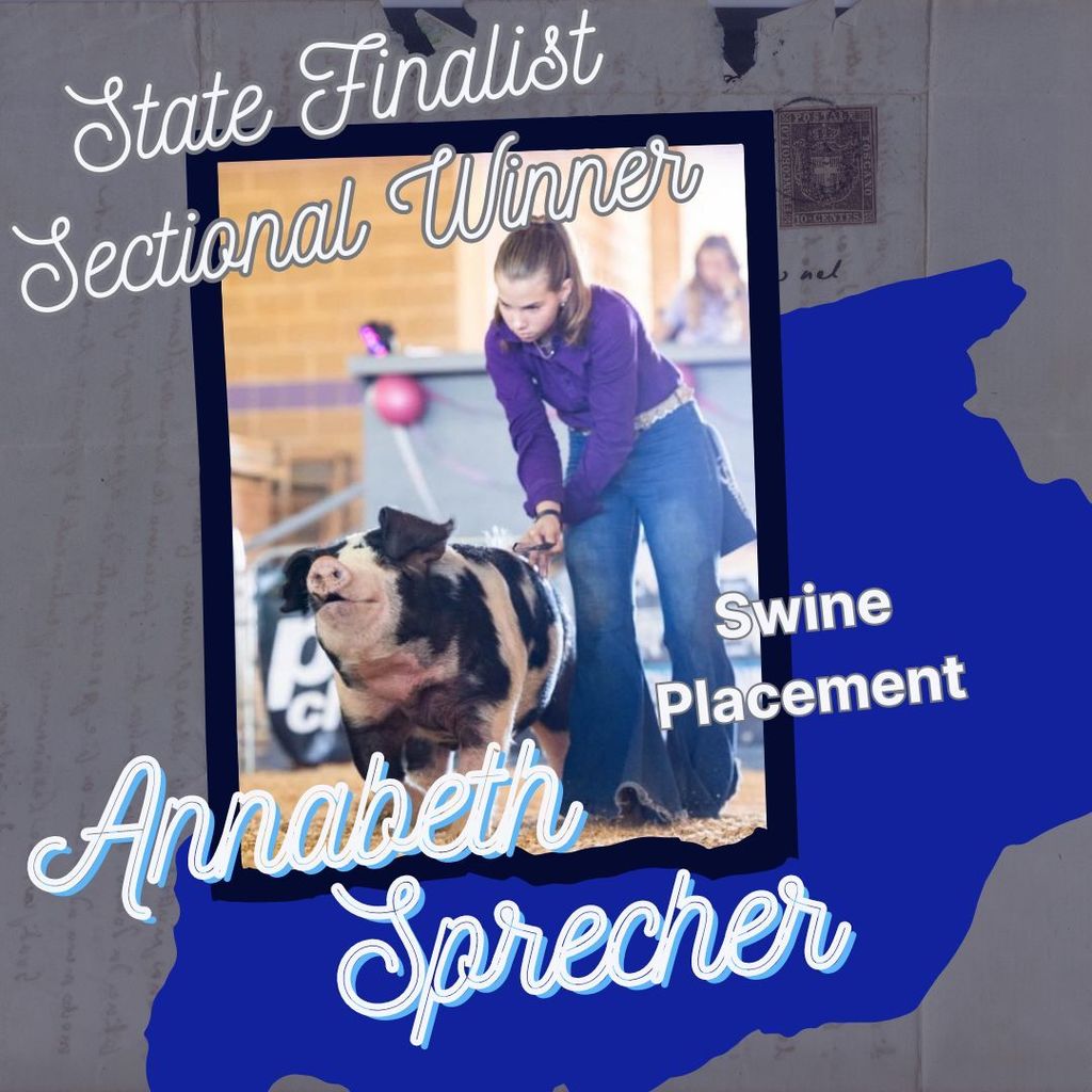 Annabeth Sprecher FFA State Finalist Swine Place